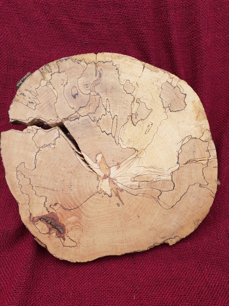 SPALTING LOG SLICE
