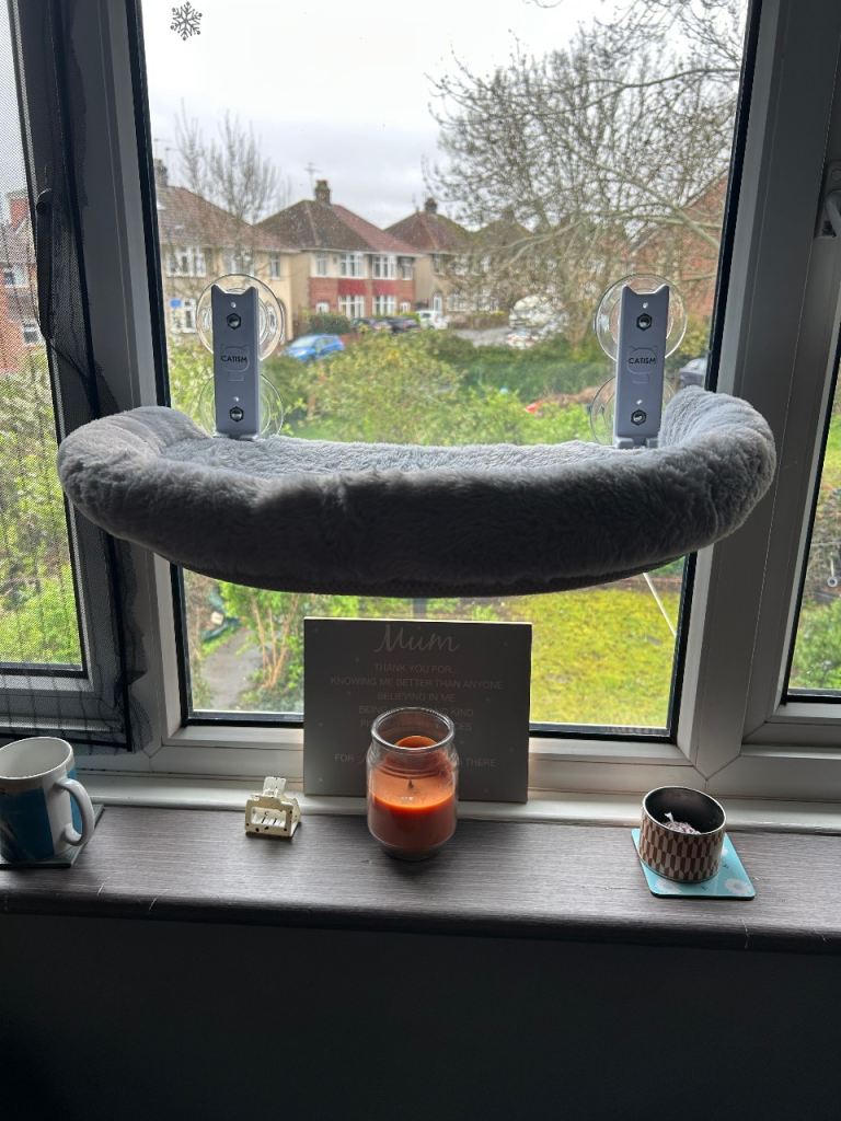 Window cat bed