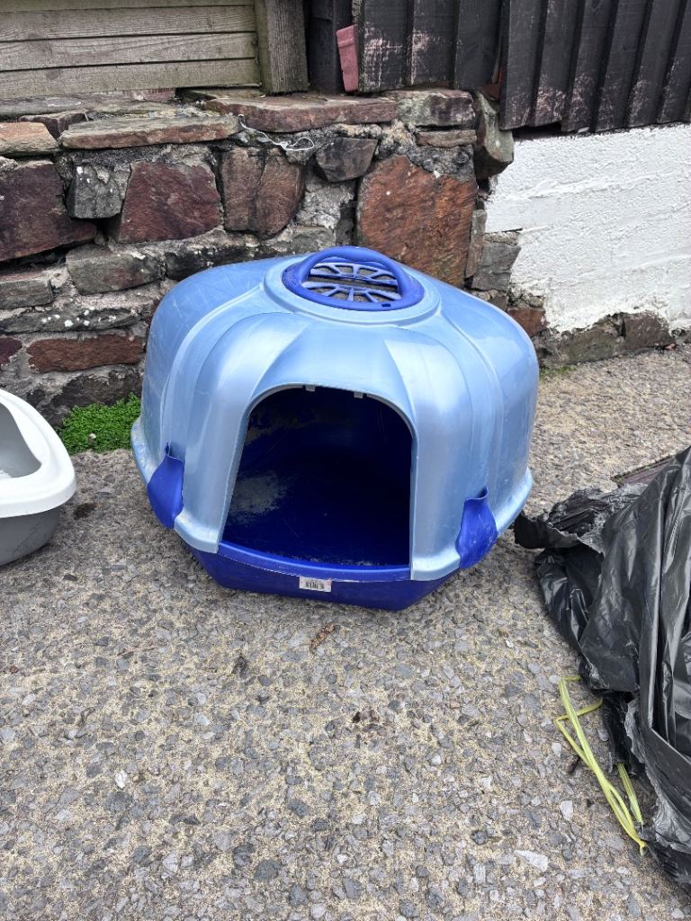 3 Cat radiator beds and 3 large litter trays