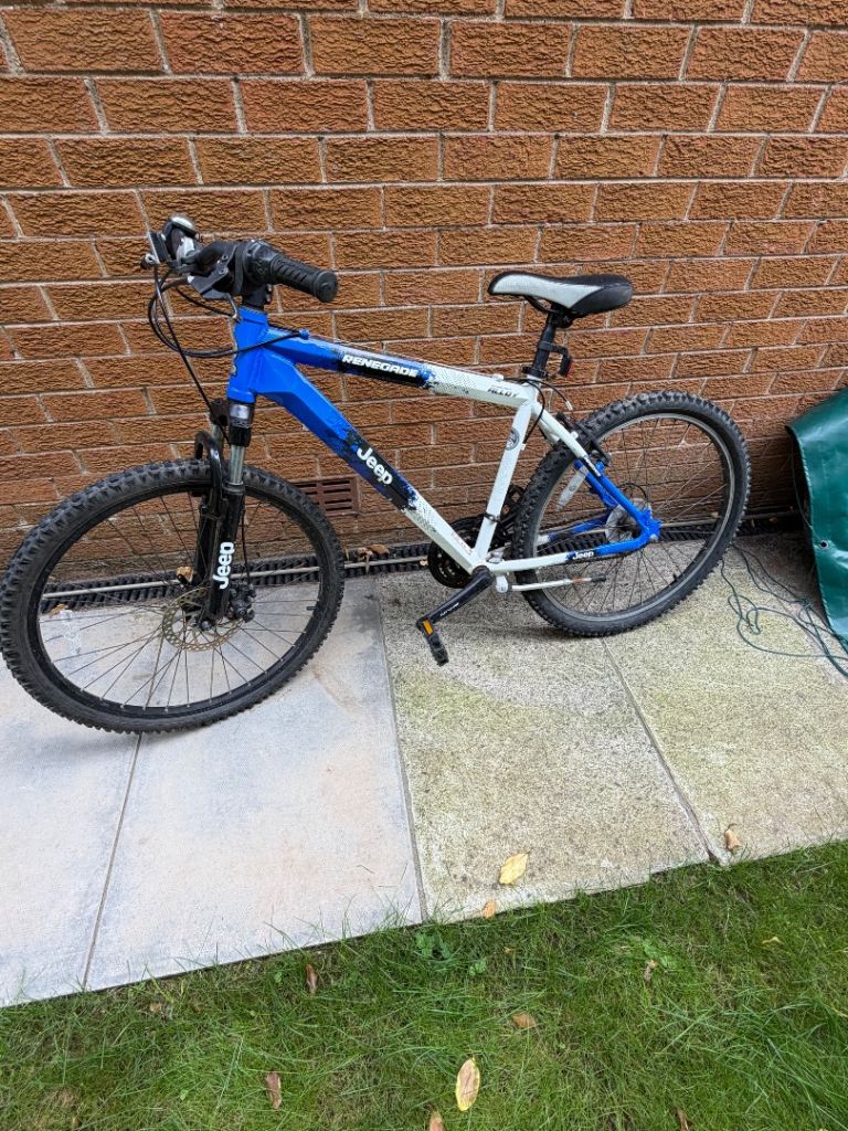 Renegade bike 
