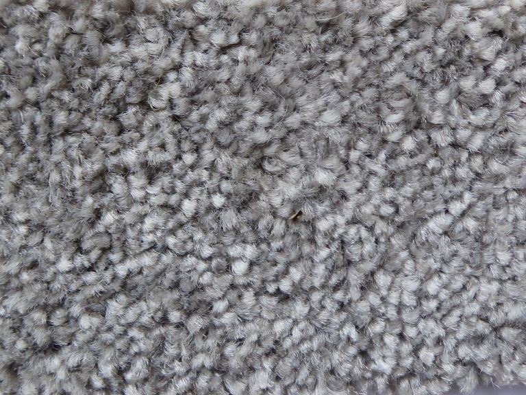Grey Carpet.