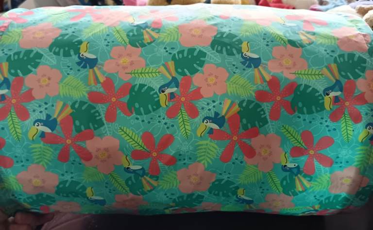 A lovely summery theme cat tunnel 