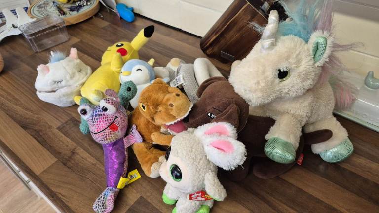 Huge Kids Toys Bundle – Soft Toys + Mixed Toys – Job Lot