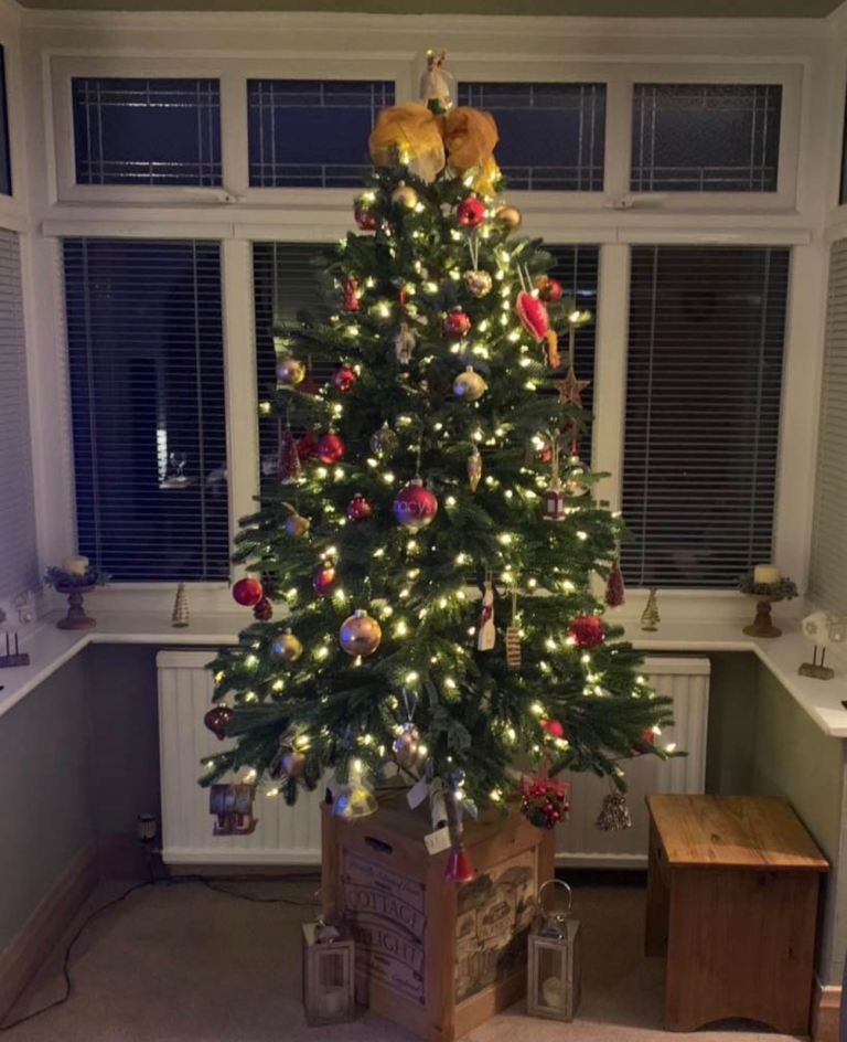 Balsam Hill 5 Foot Mountain Fir Artificial Christmas Tree with Lights 