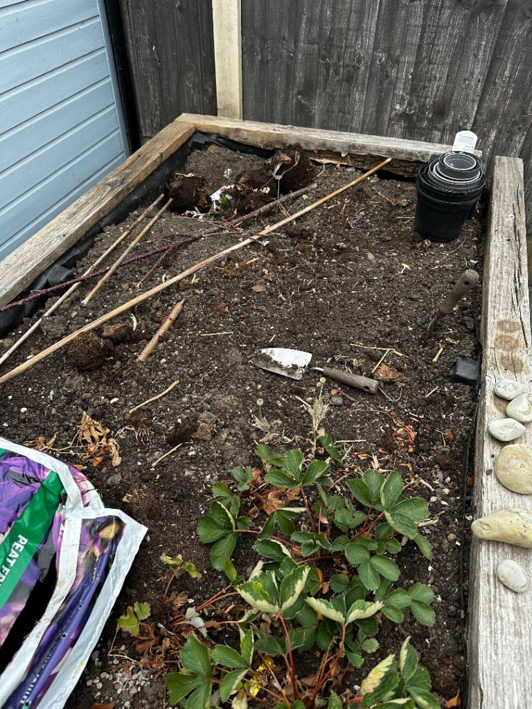 Soil from Wooden Raised Garden Bed