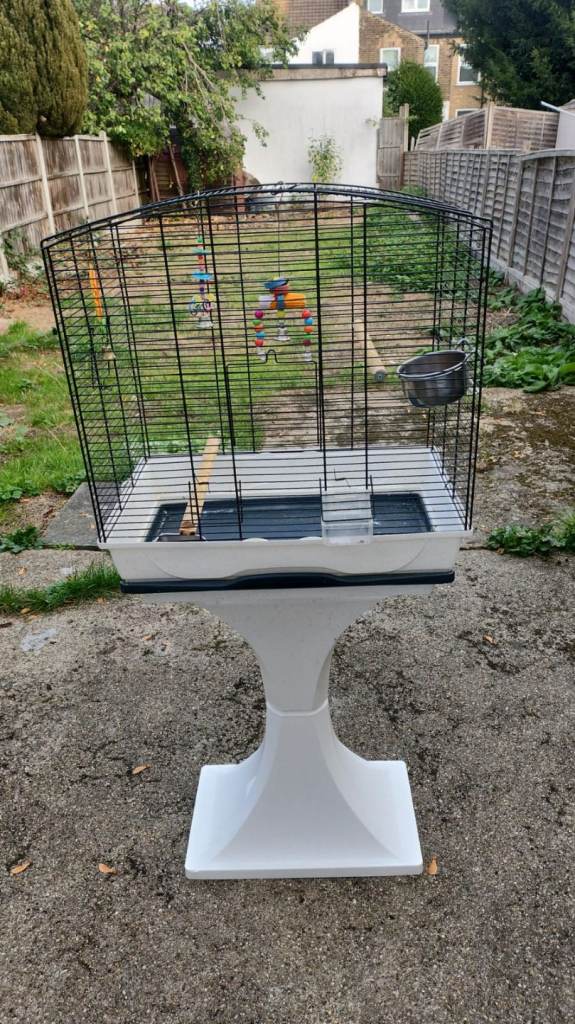 Bird cage 