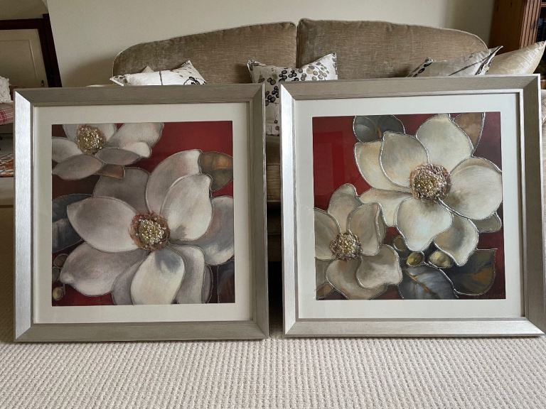 Pair of Framed Magnolia Flower Pictures - Multicoloured