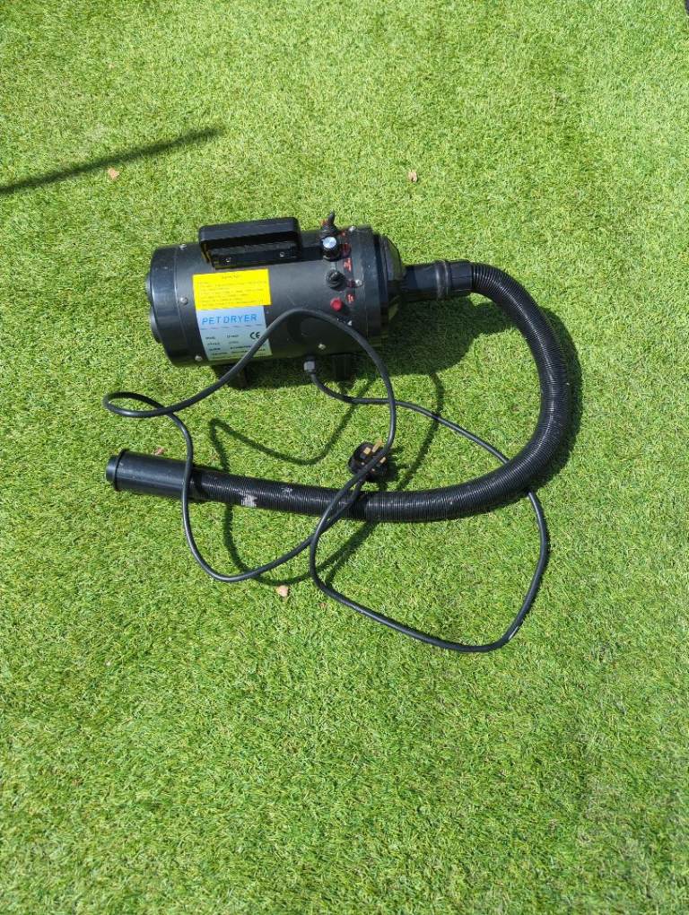 Pet dryer