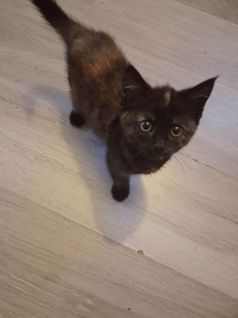 image for Just one to go