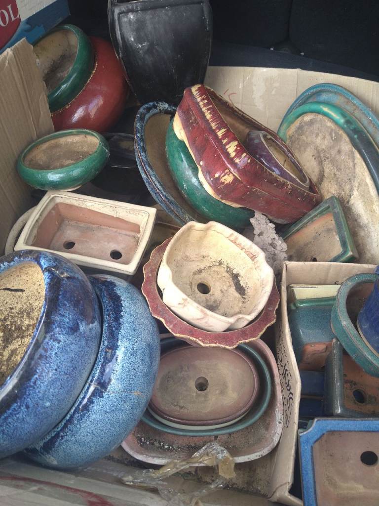Various bonsai pots