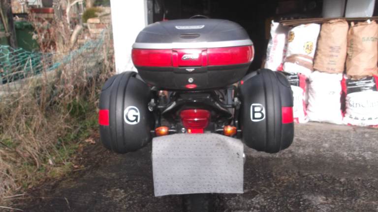 honda blackbird luggage 