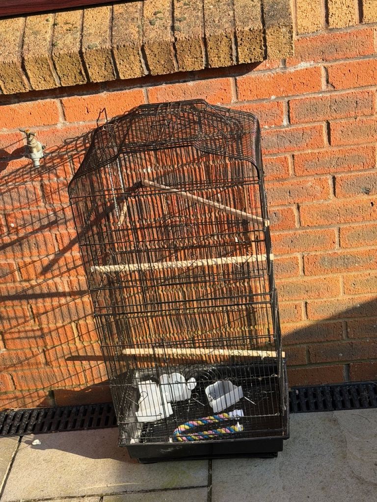 Bird cage with accessories 