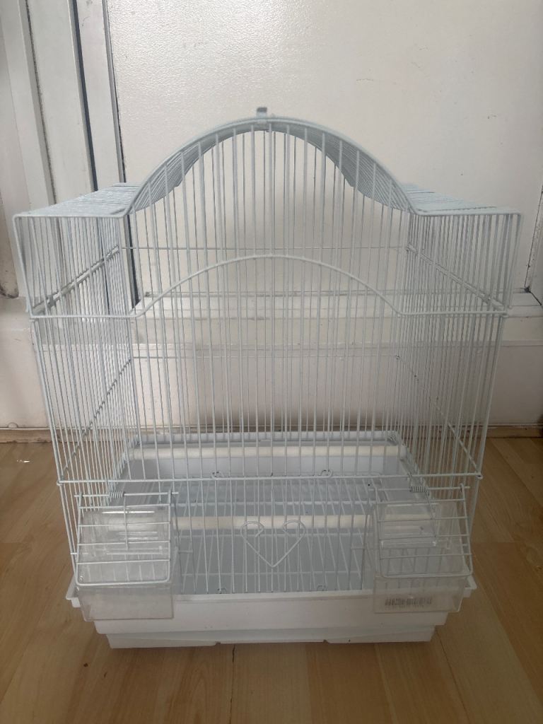 Bird cage 