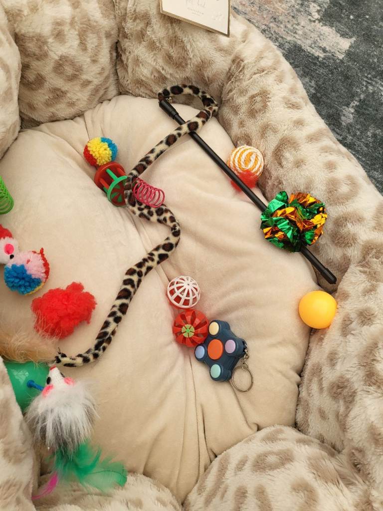 CAT BED WITH TOYS AND CAT TREE