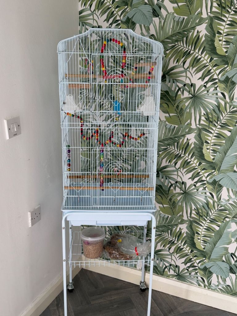Bird cage 