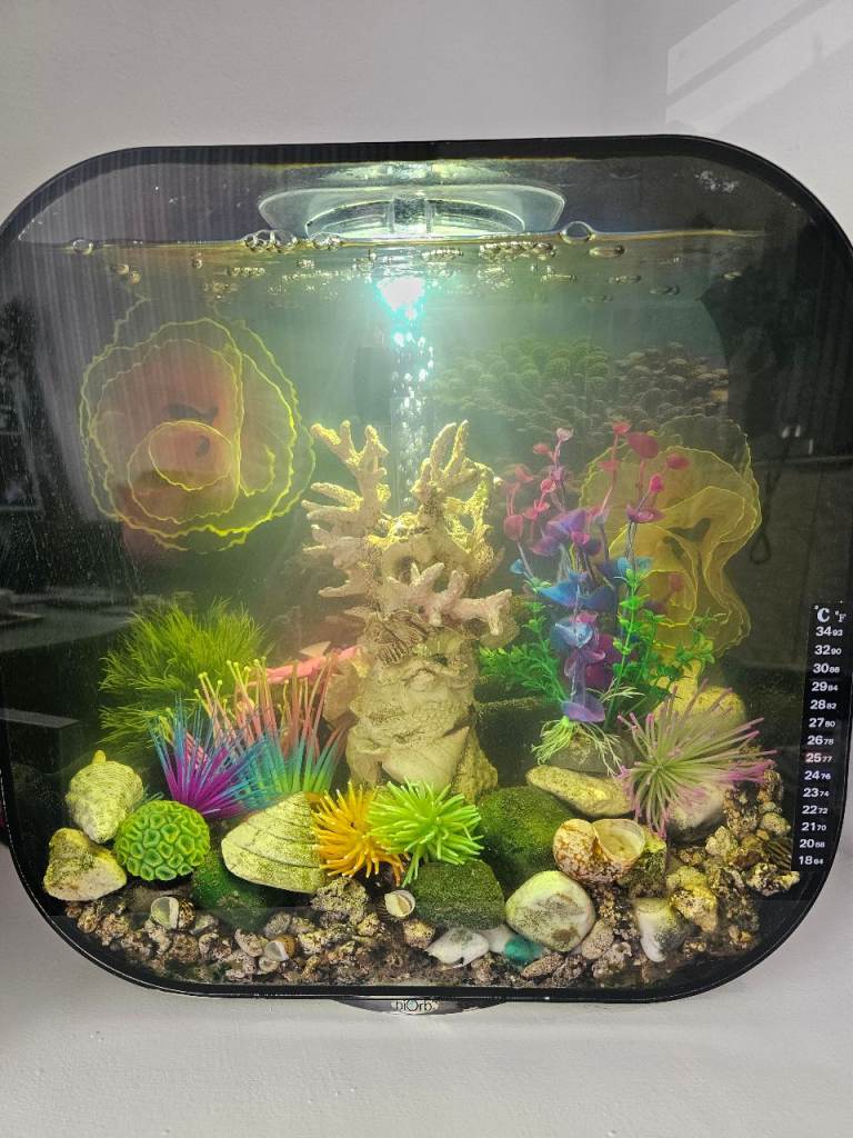 Biorb 30L Aquarium 