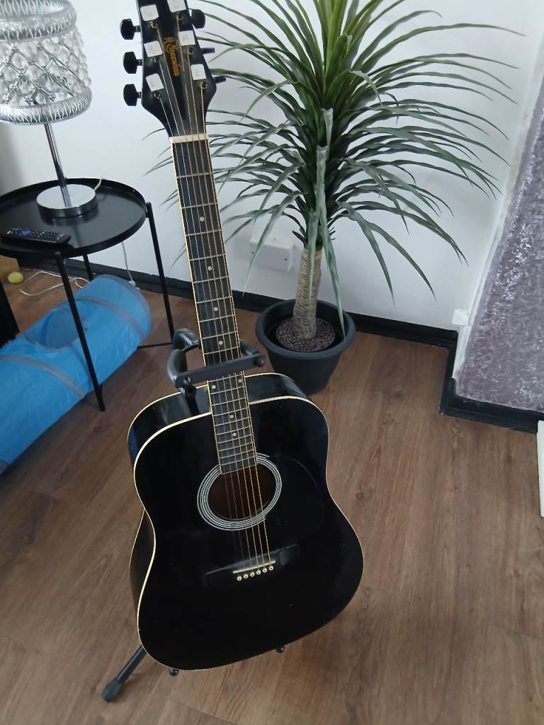 Left Handed Guitar