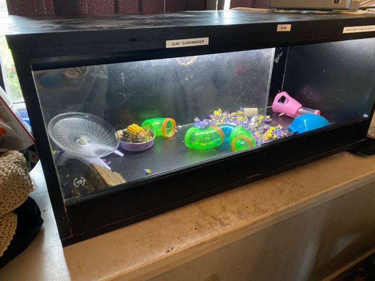 Vivarium tank with fluorescent bulb 