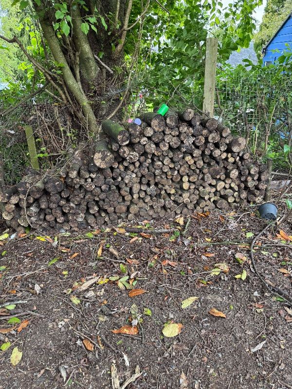 Wood logs for free pick up 