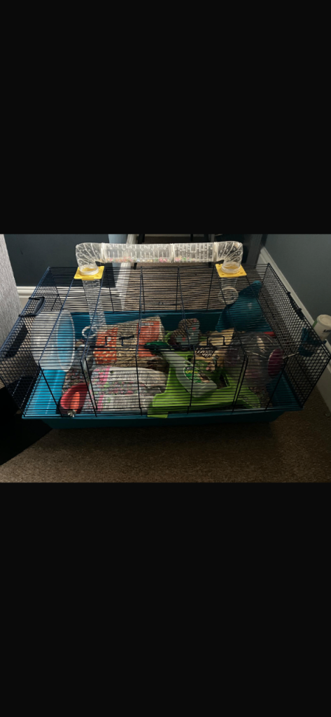 Quality Hamster cage with all accessories 