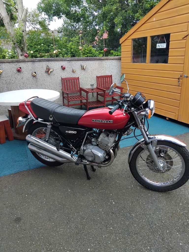 Kawasaki, 1978, 249 (cc)