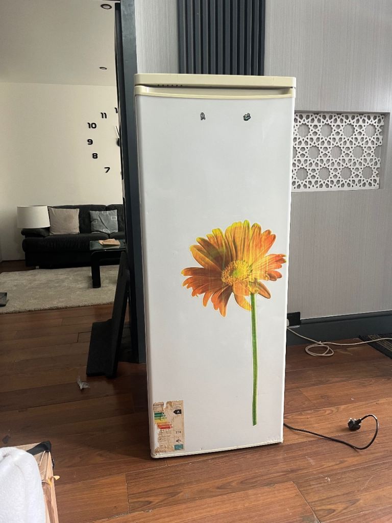 Perfectly Working Freezer