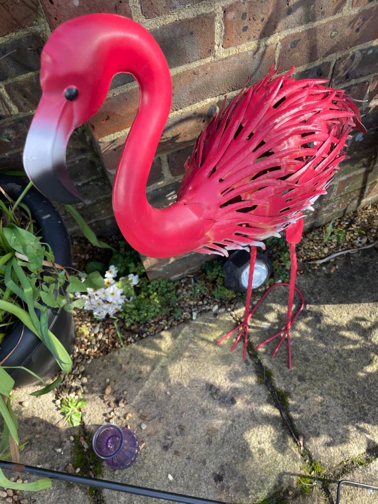 Big garden sale not had long from ten to 30 each 