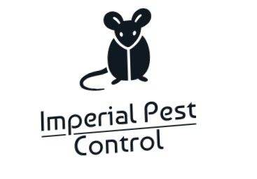 Pest Control in Lewisham – Certified Rat & Mouse Control