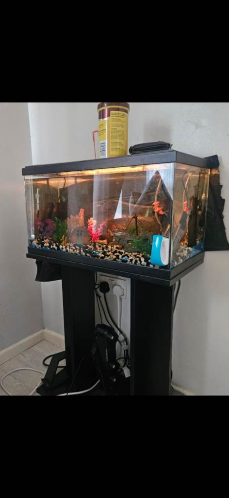Fish tank with stand 