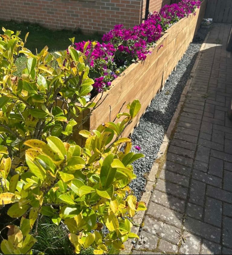 Reclaimed Scaffold Board Planters 