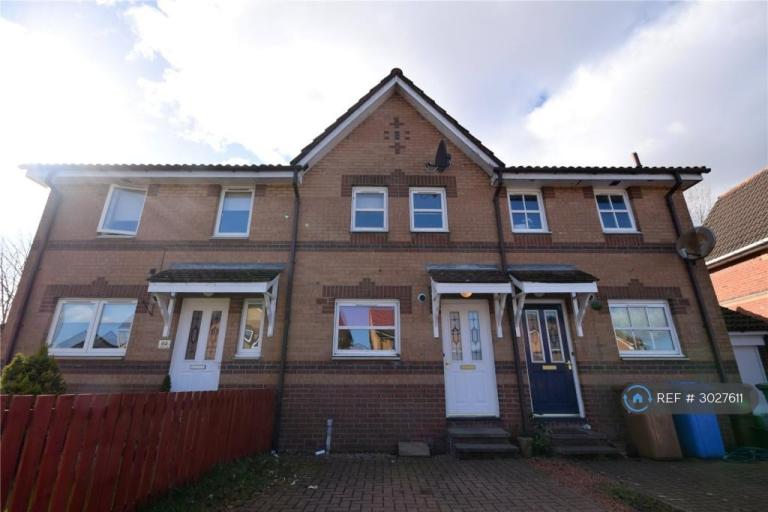 2 bedroom house in Park Road, Falkirk, FK2 (2 bed) (#3027611)