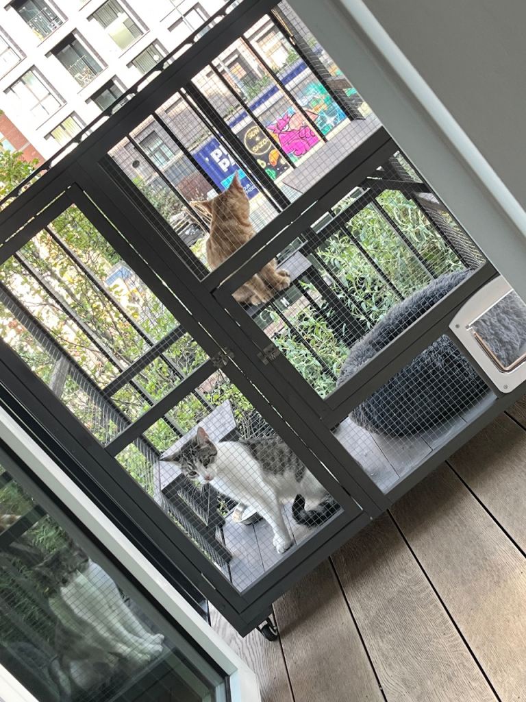 Catio
