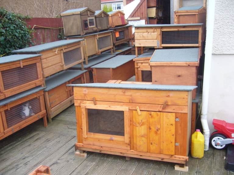 X3RABBIT HUTCH ROBUST   NON ROTT BASE  12120 WIDE £45  WALK IN MESH S 6X3FT £30 EACH  SHOWROOM     