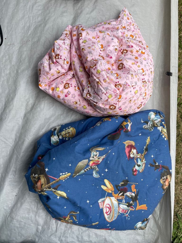 Bean bags for kids to sit on