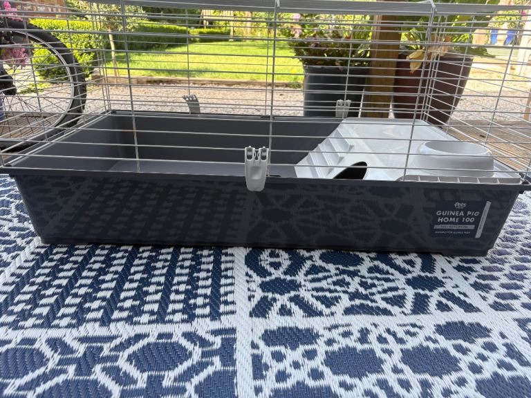 Guinea Pig Home 100