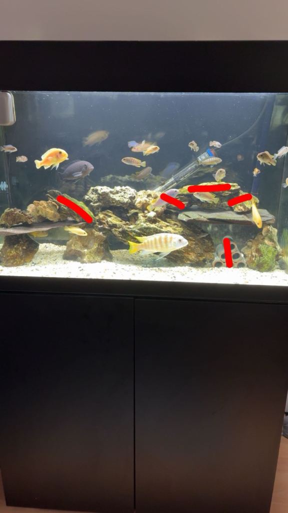 Fish tank rocks 