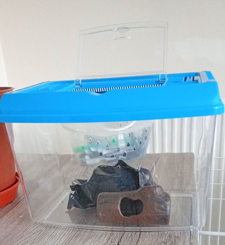 Small Pet Tank and Decor