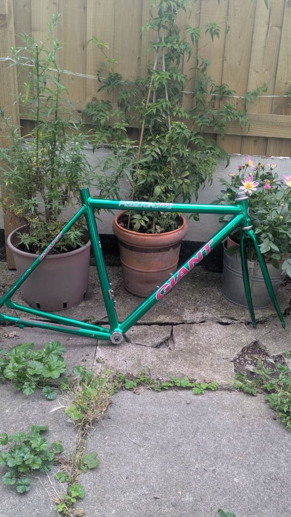 image for Vintage Peloton Bike Frame 