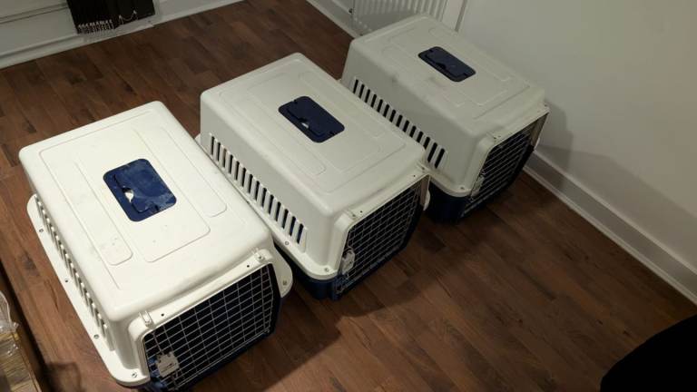 3 pet carriers for 15 pounds