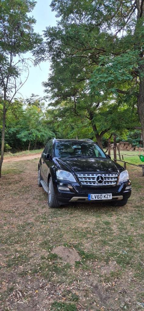 mercedes benz ml 350