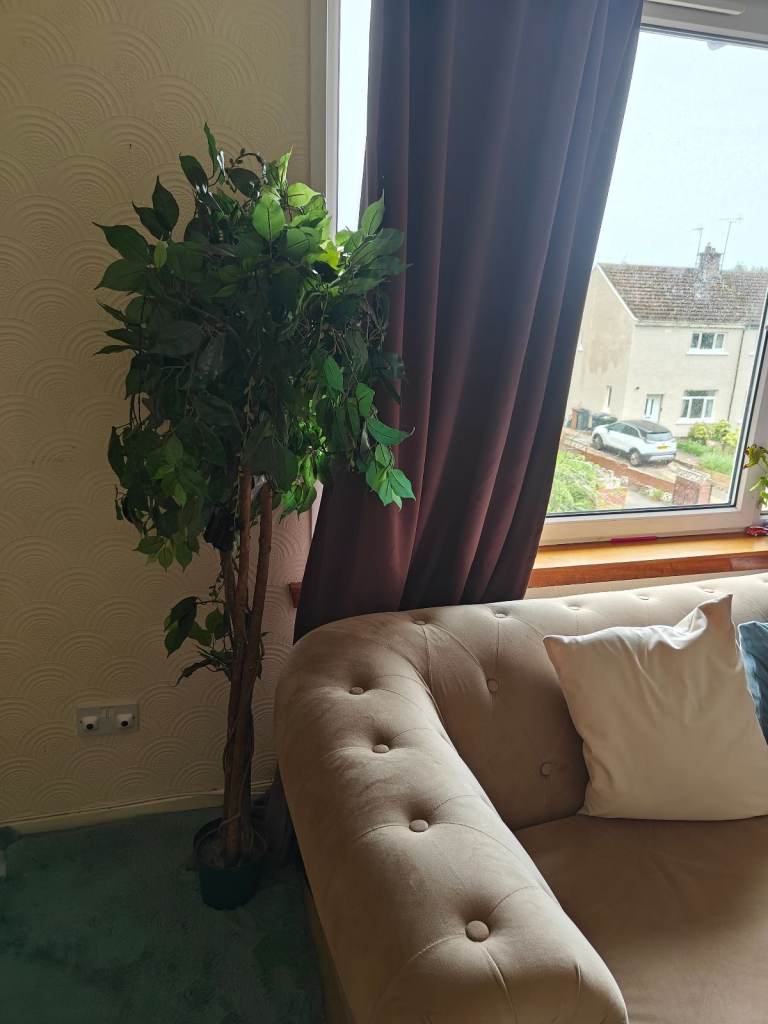 Fake faux artificial very tall ficus tree plant