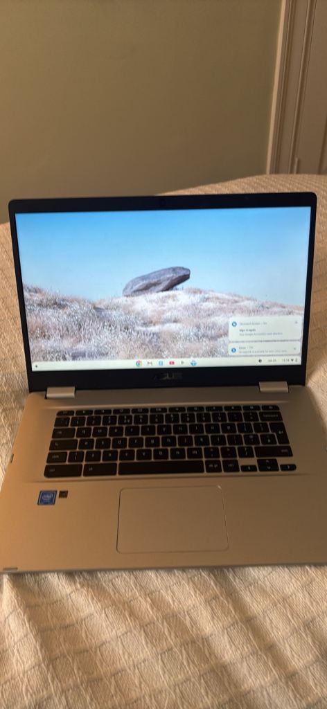 ASUS 15.6" ChromeBook C523NA (Intel Celeron N3350, 4 GB RAM, 64 GB eMMC, Chrome OS), Silver Laptop