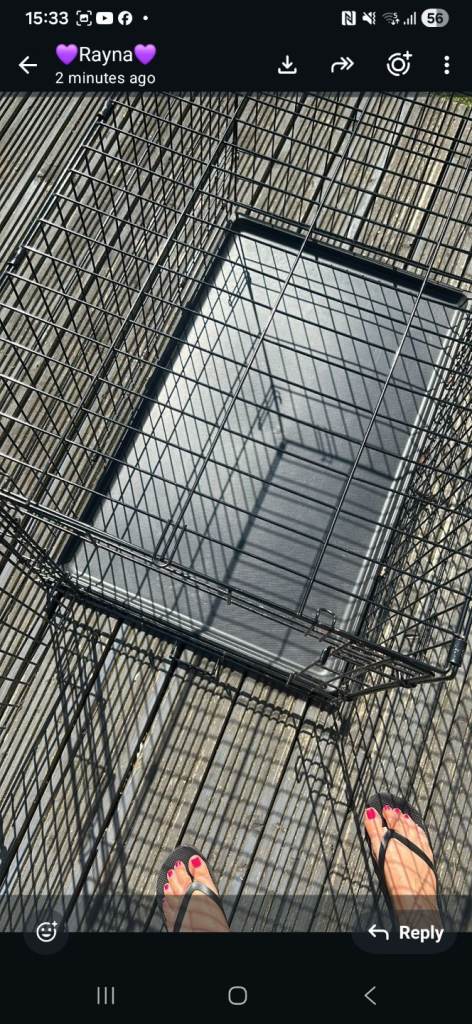 Dog cage 