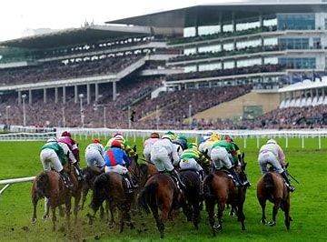 Cheltenham Festival Ticket Tattersalls Enclosure Thursday 12/03/26. £50.
