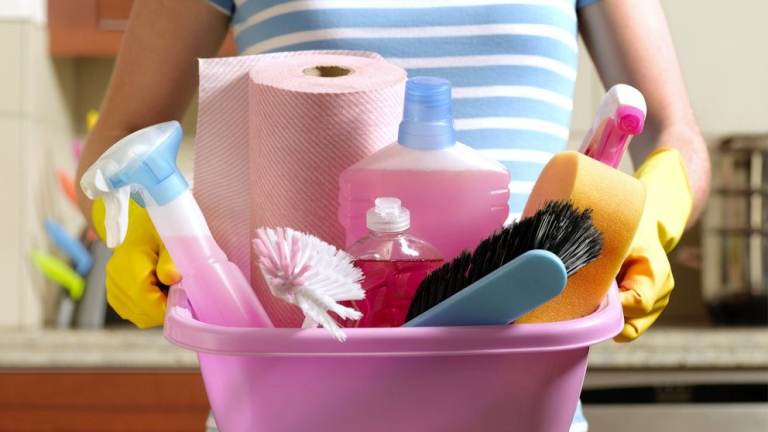 Local Cleaning Woman