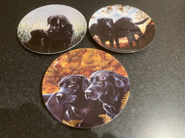 Fine Bone China By John Silver x3 Plates From The Black Labradors Collection.