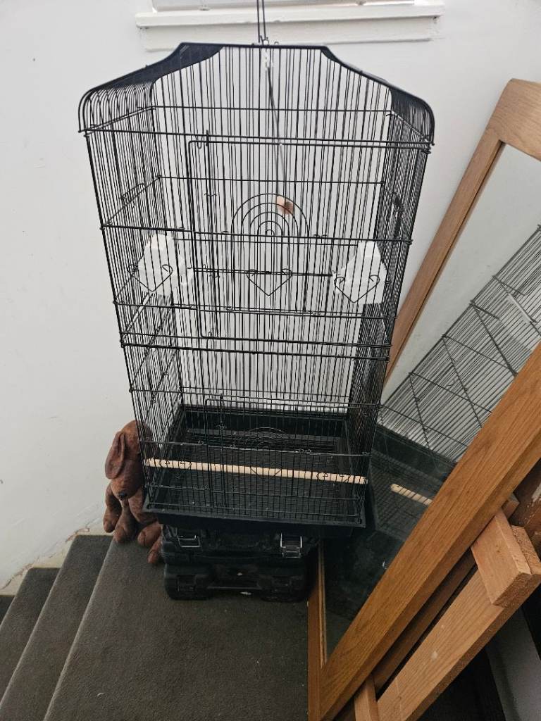 Free bird cage