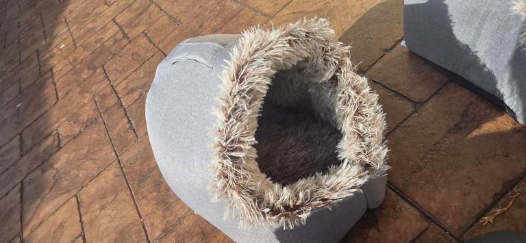 Winter cat beds