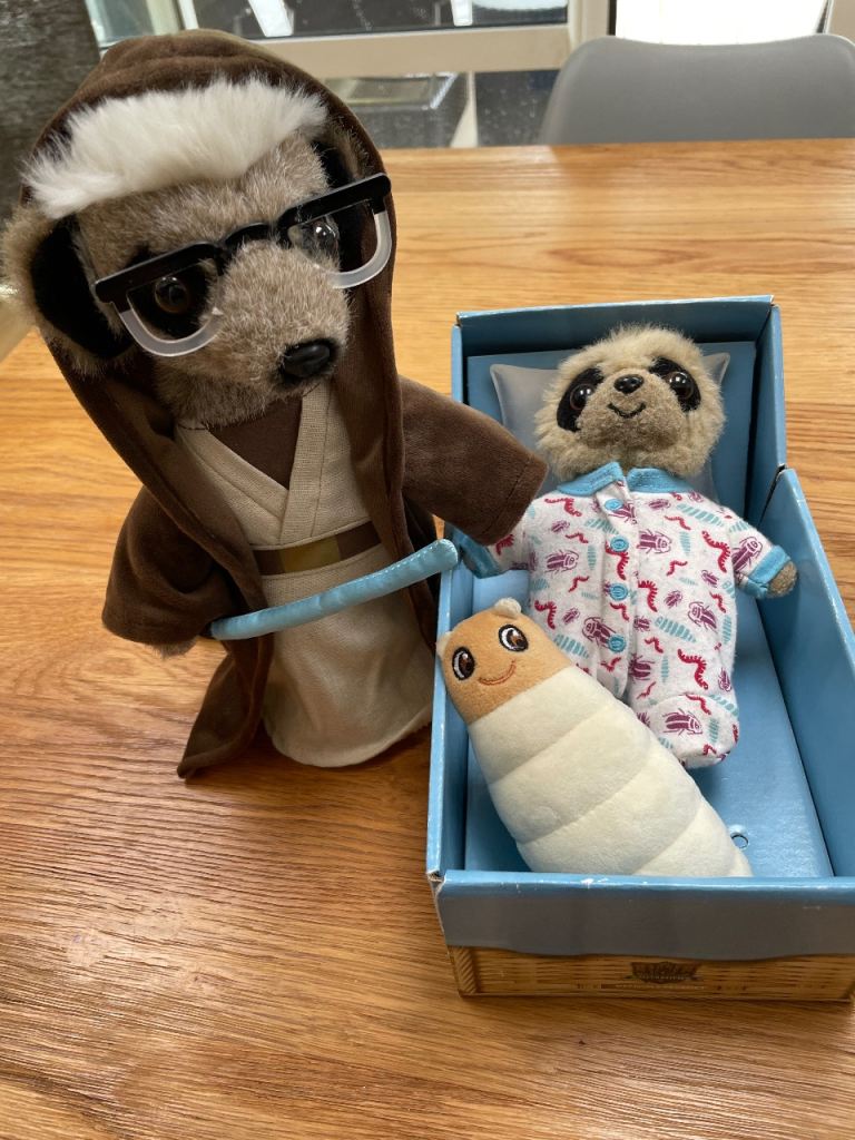 Compare the Market Meerkat - Baby Oleg & Jedi Meerkat