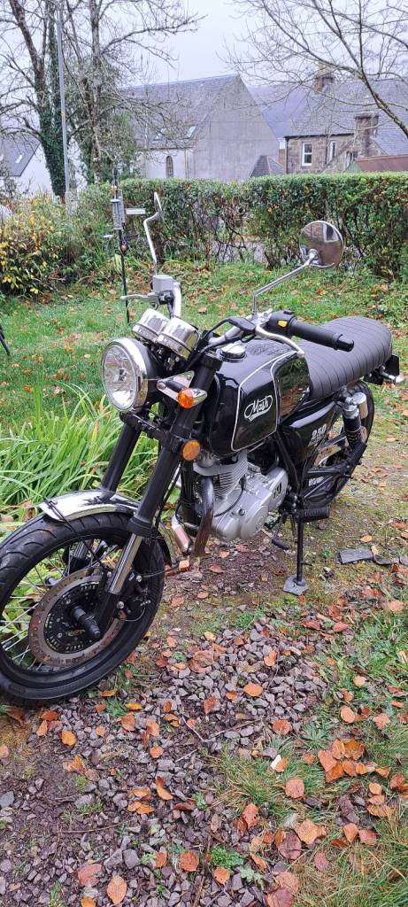 Mash, BLACK, 2017, 249 (cc)